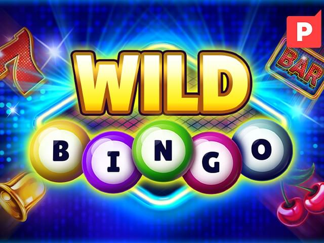 40 win bet Bingo Selvagem